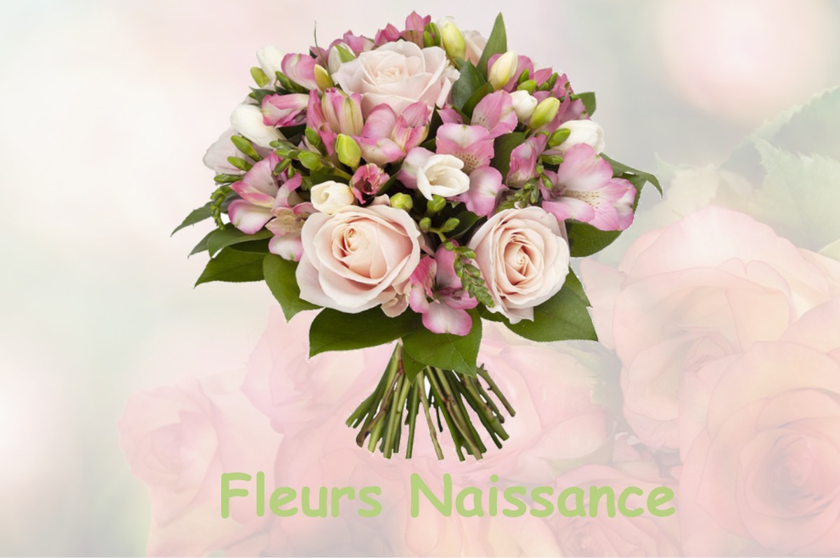 fleurs naissance LE-NEUBOURG